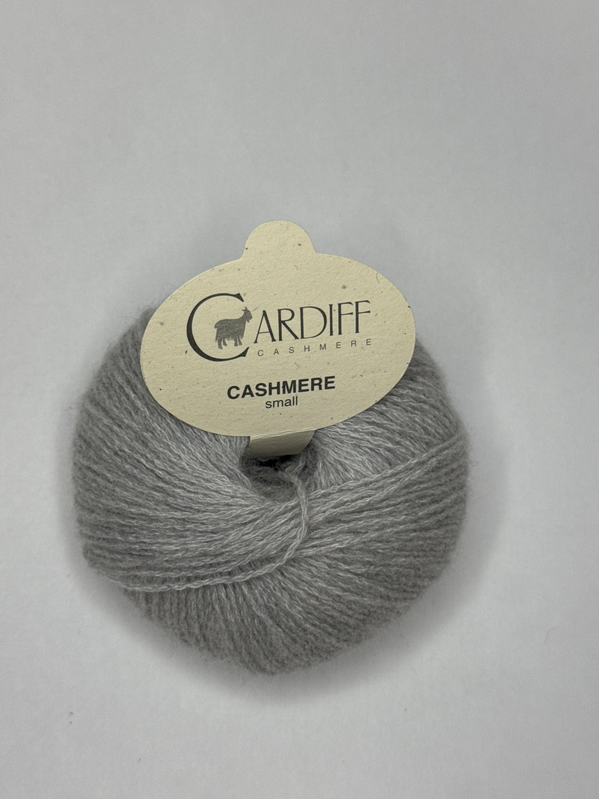 Cardiff Small