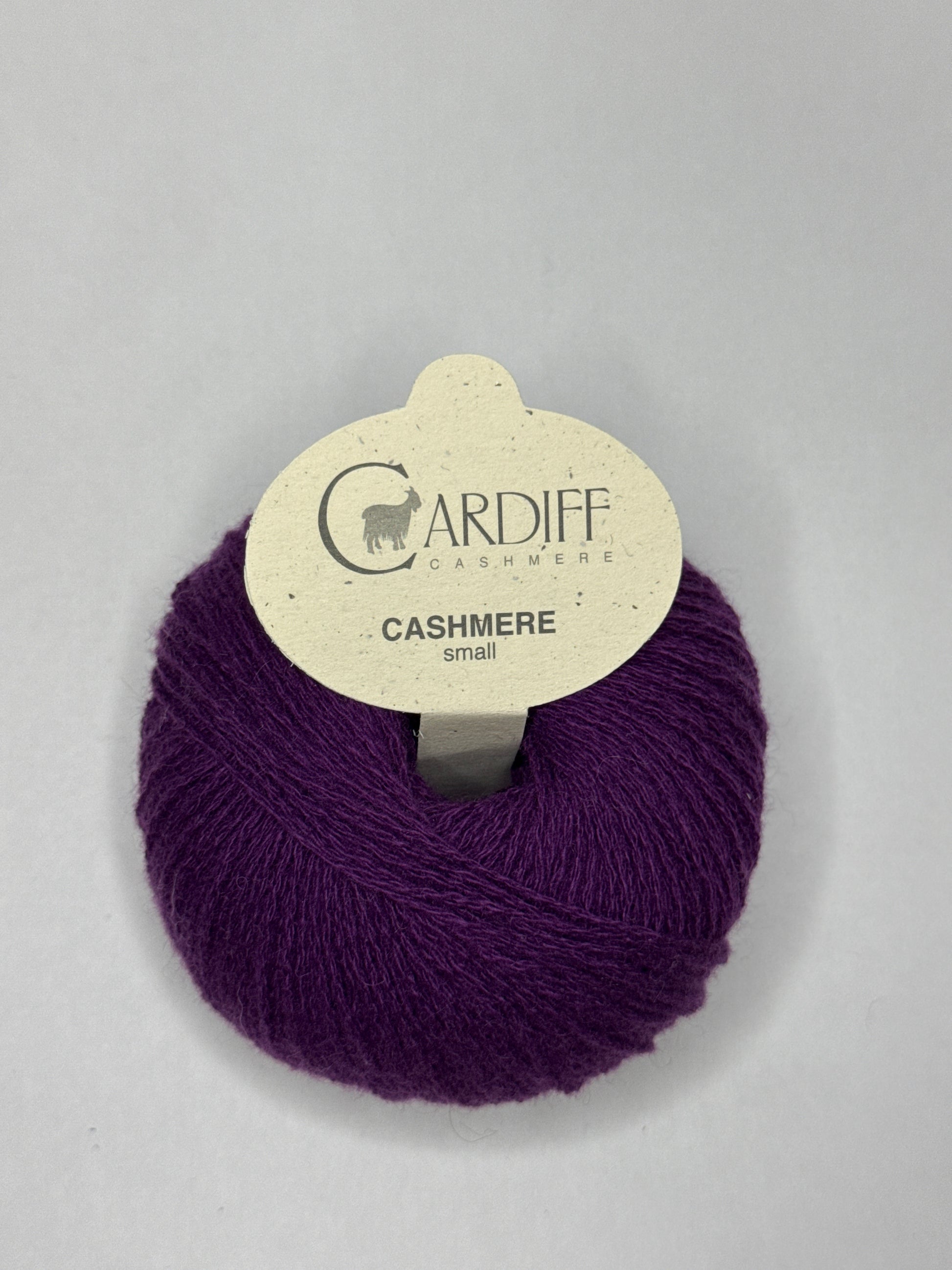 Cardiff Small