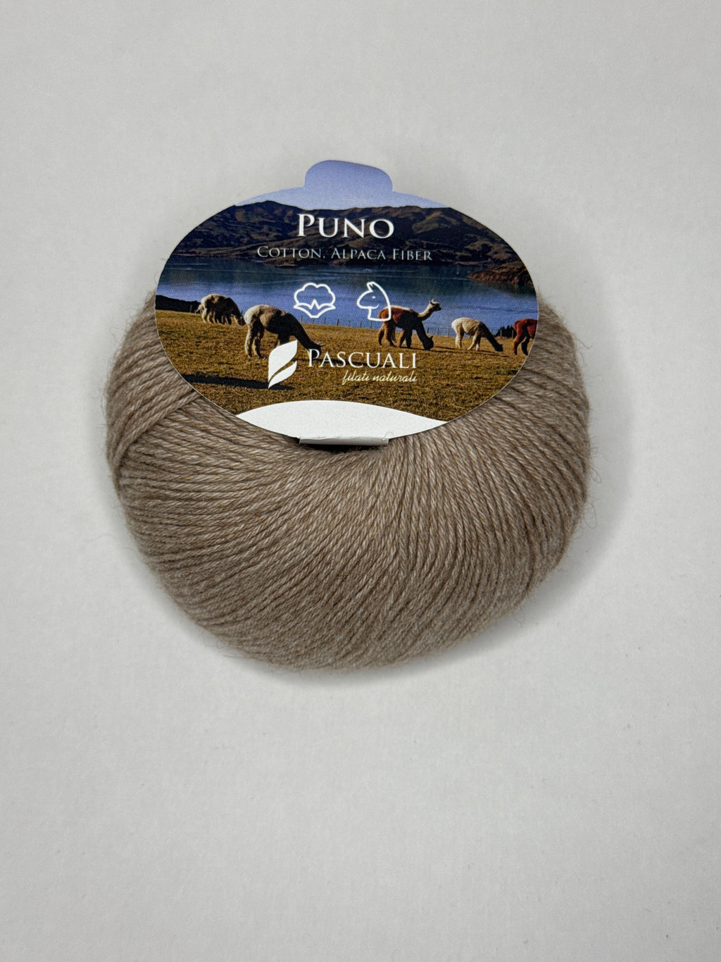 Puno Winikunka