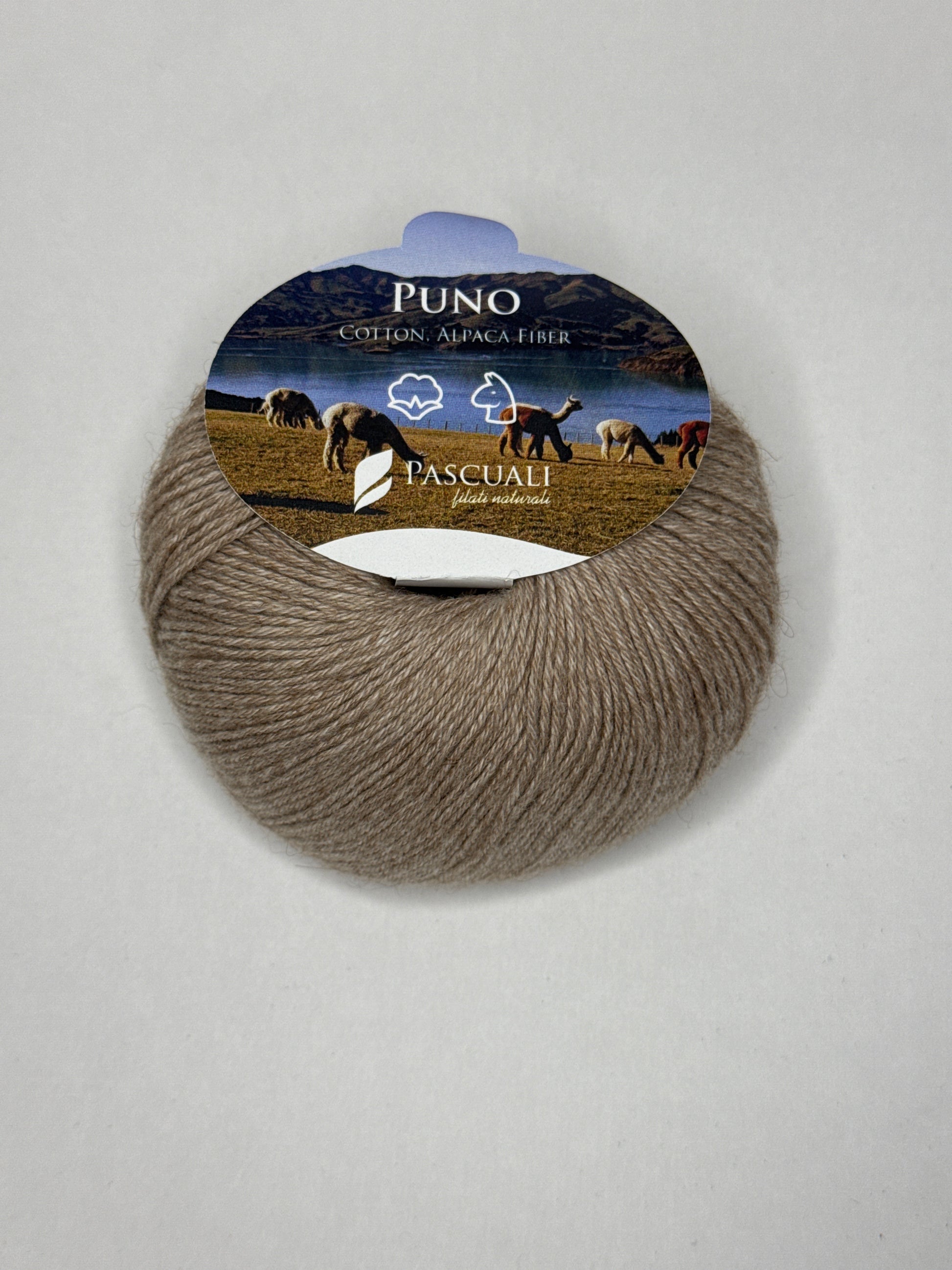 Puno Winikunka