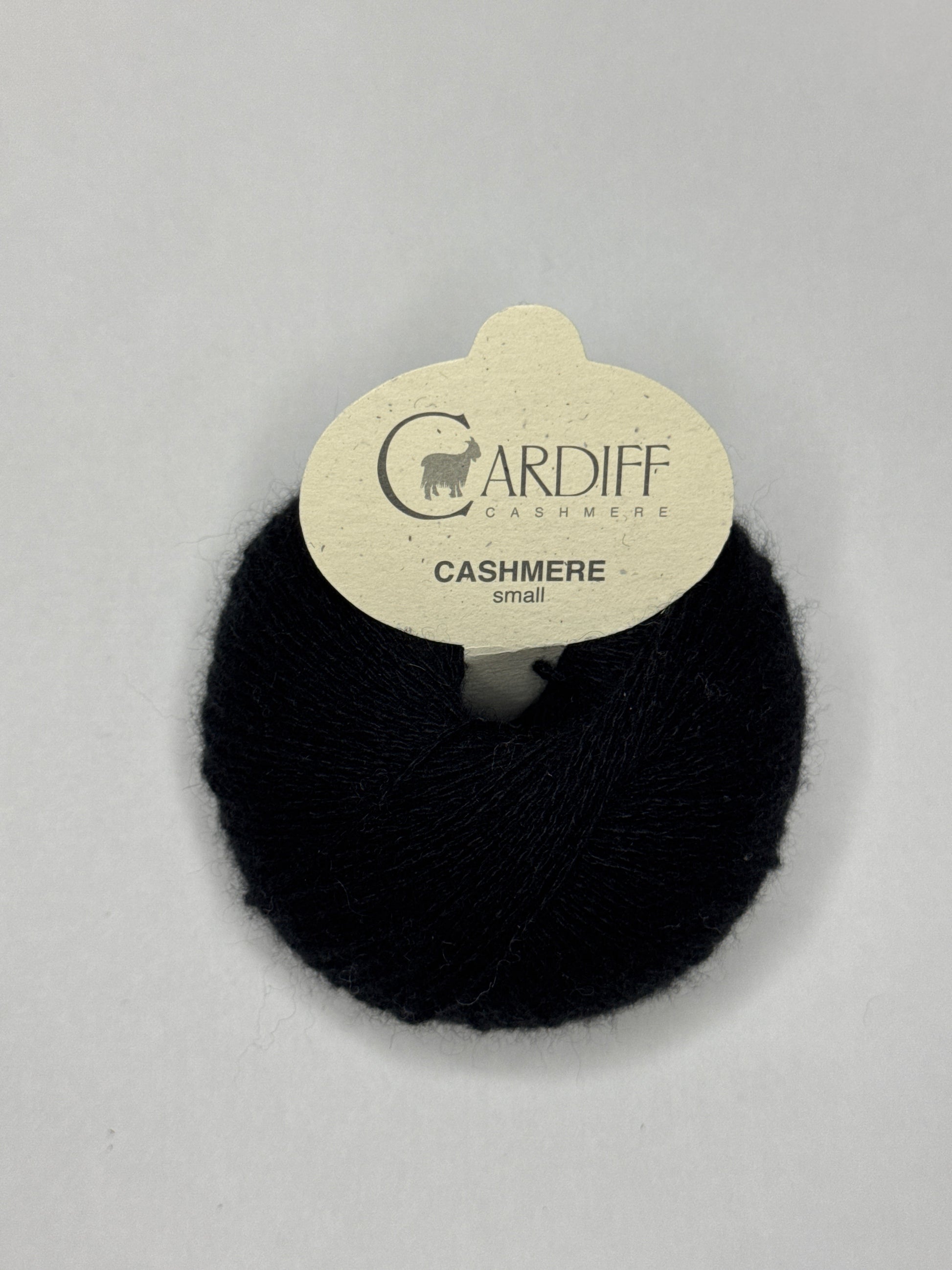 Cardiff Small