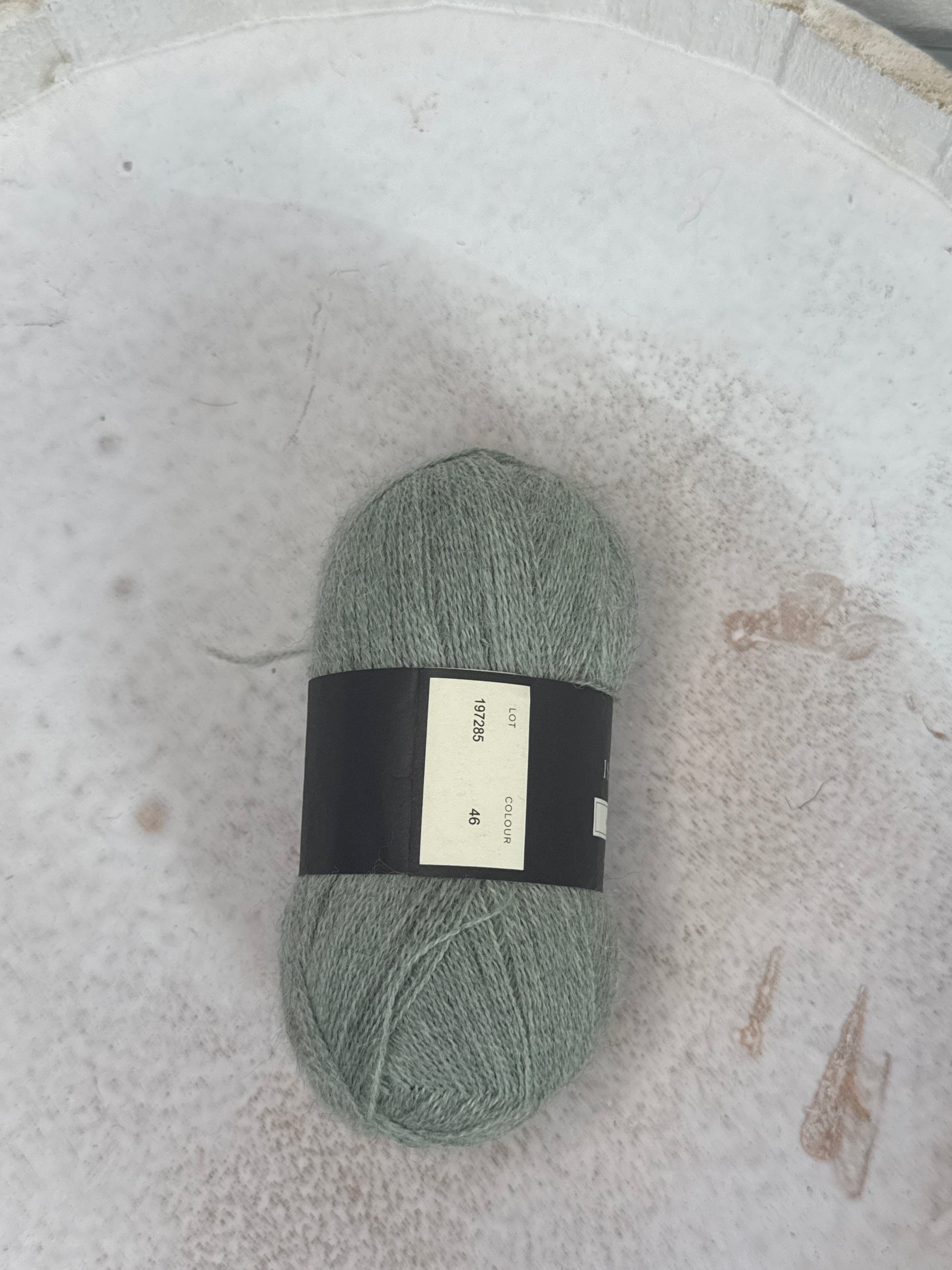 Alpaca 1