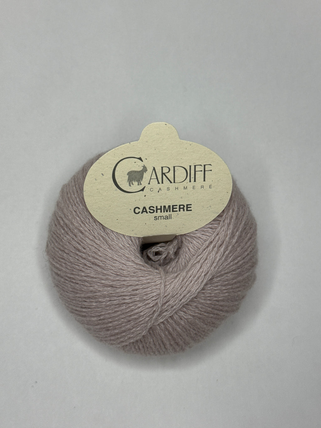 Cardiff Small