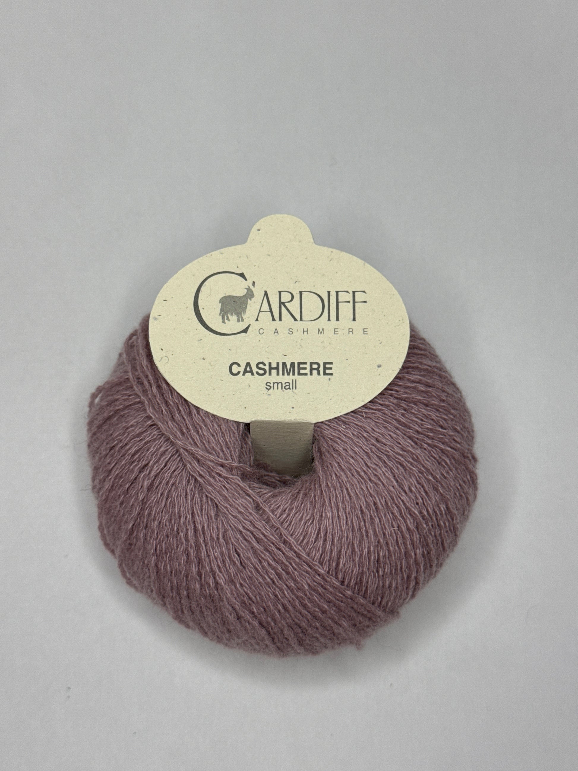 Cardiff Small