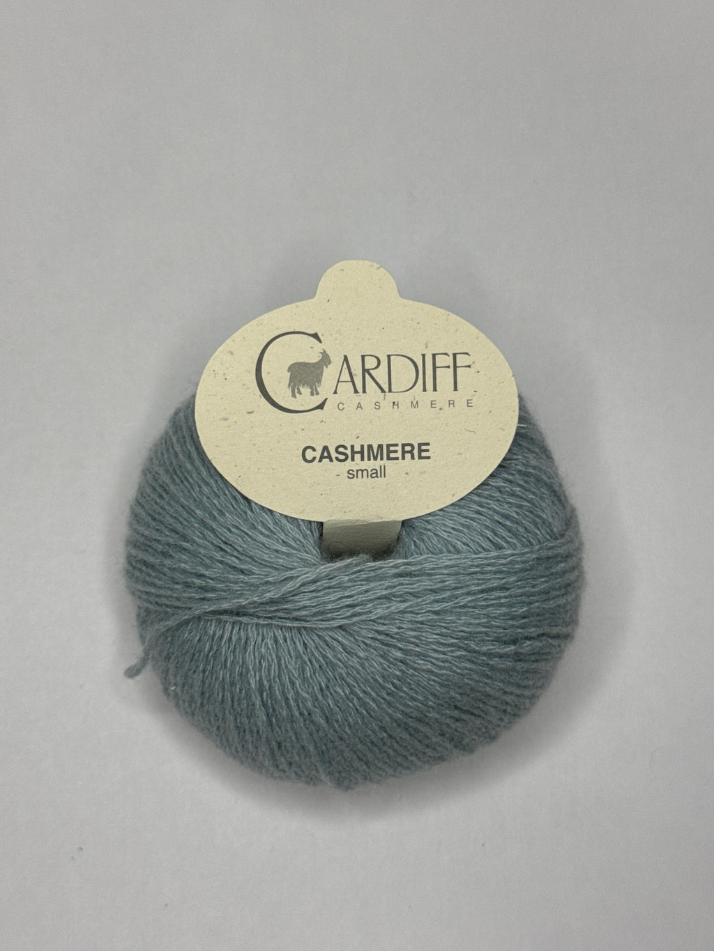 Cardiff Small