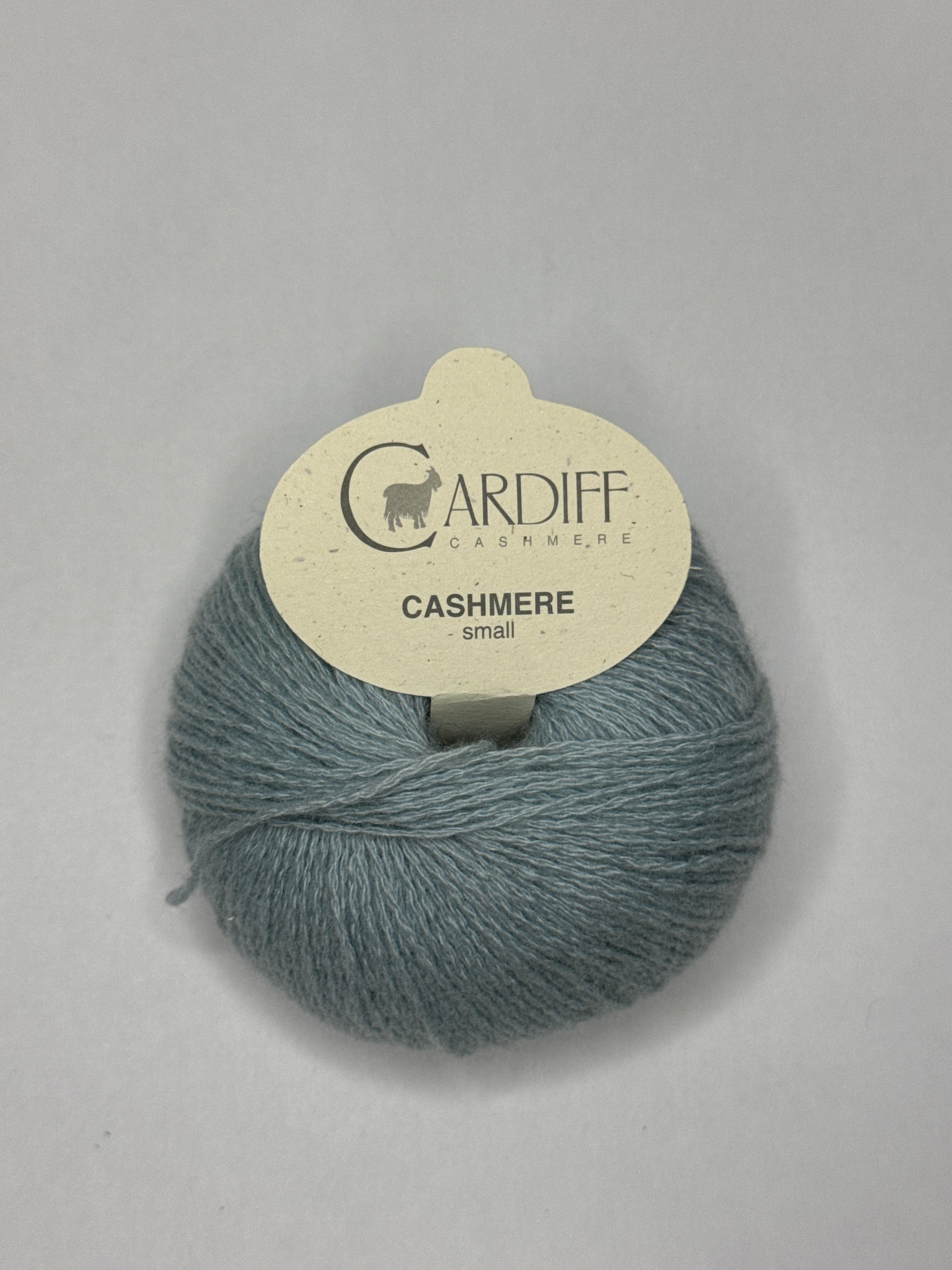 Cardiff Small