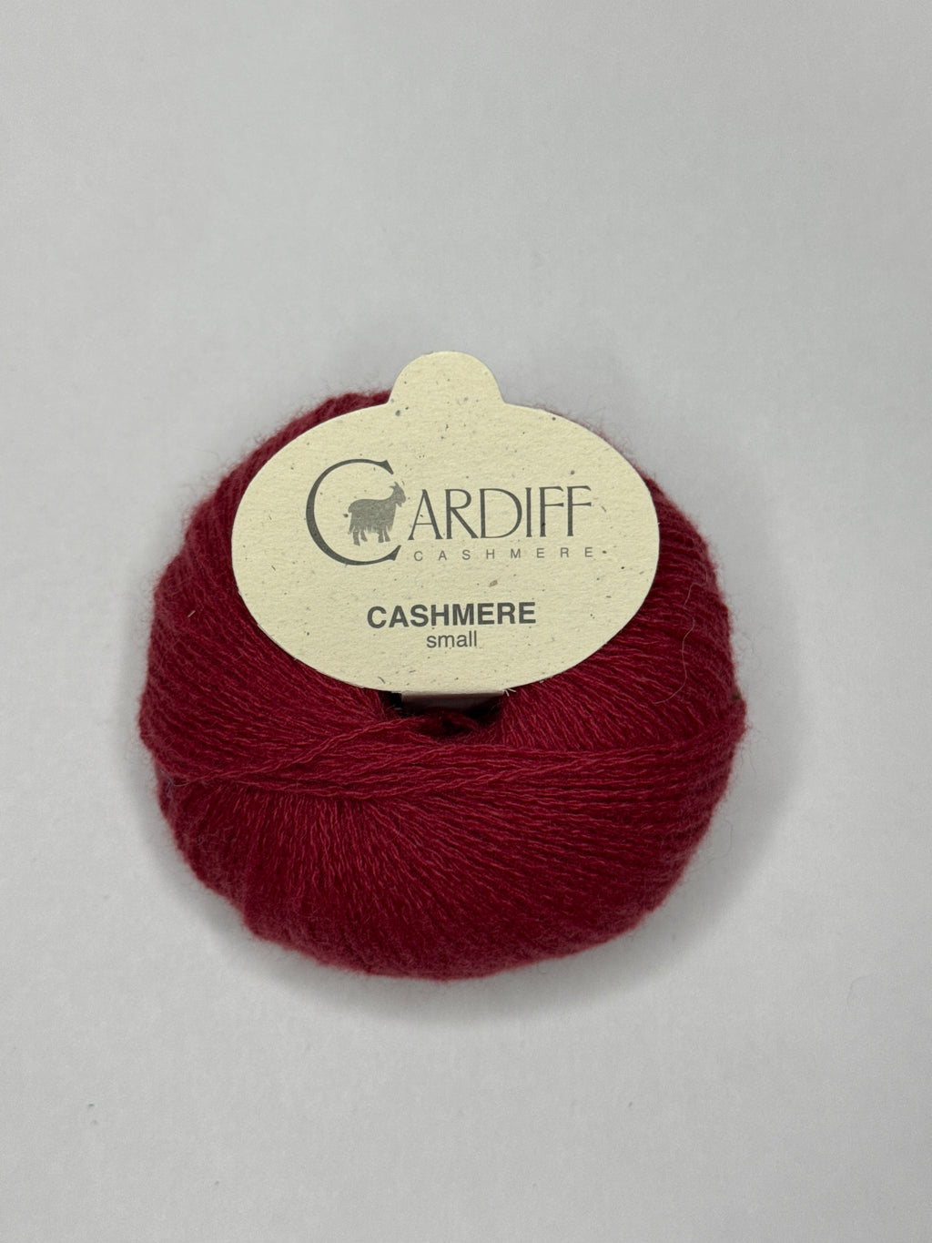 Cardiff Small