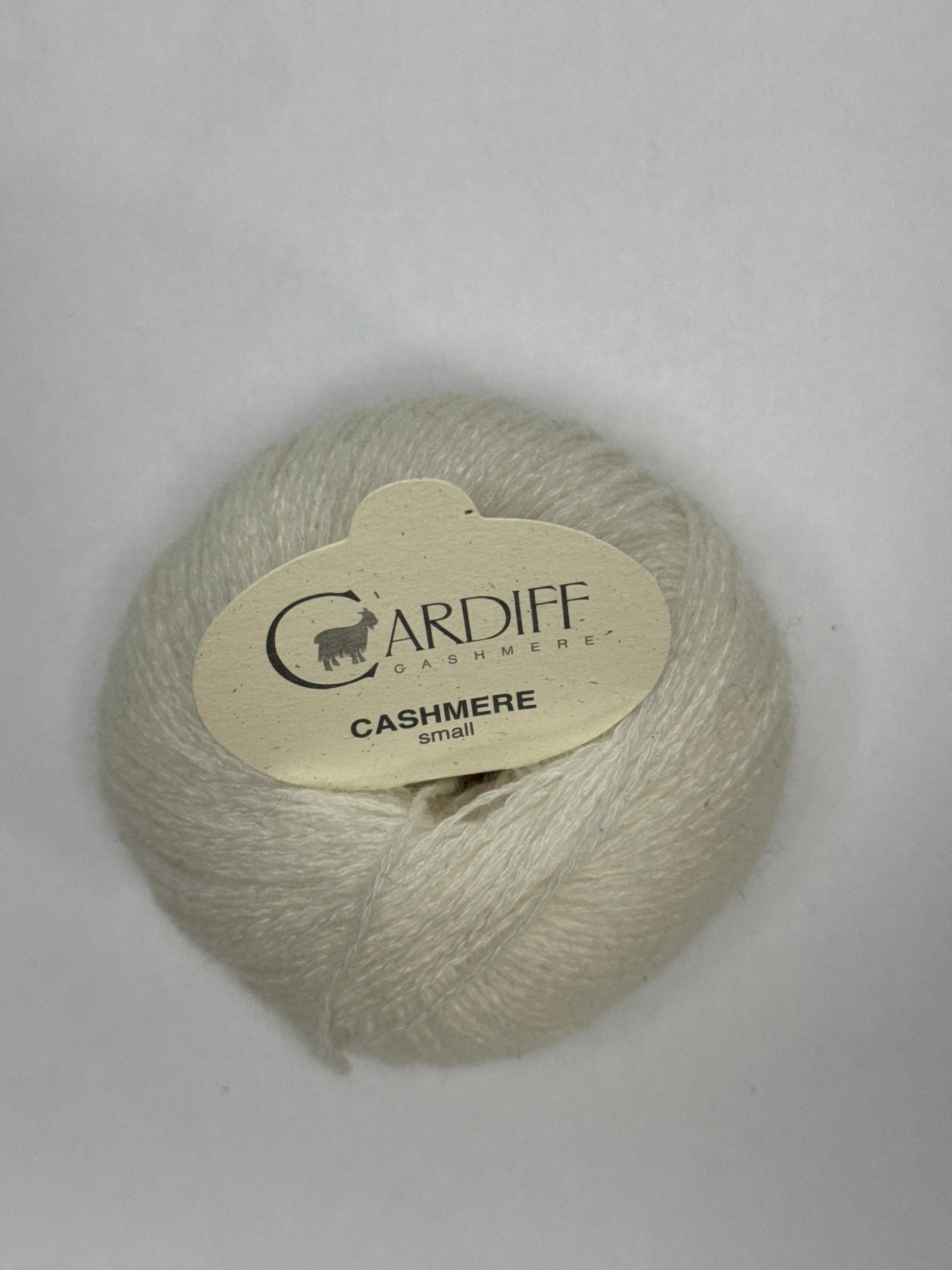 Cardiff Small