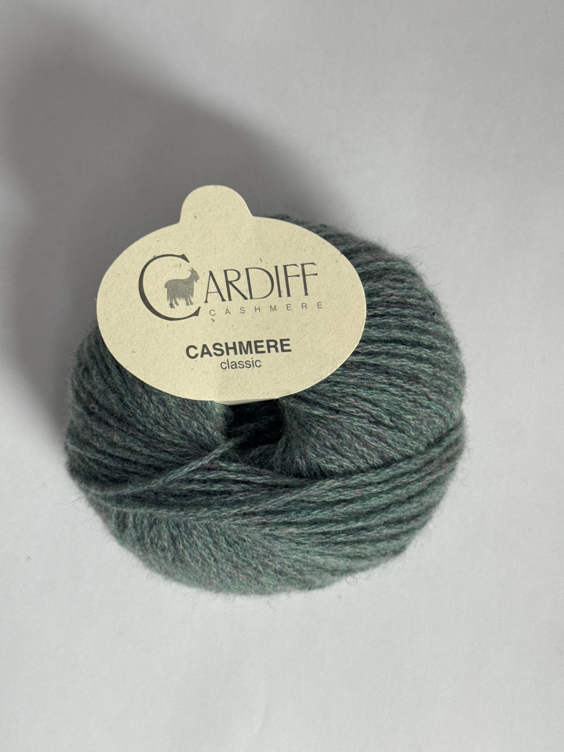 Cardiff Classic