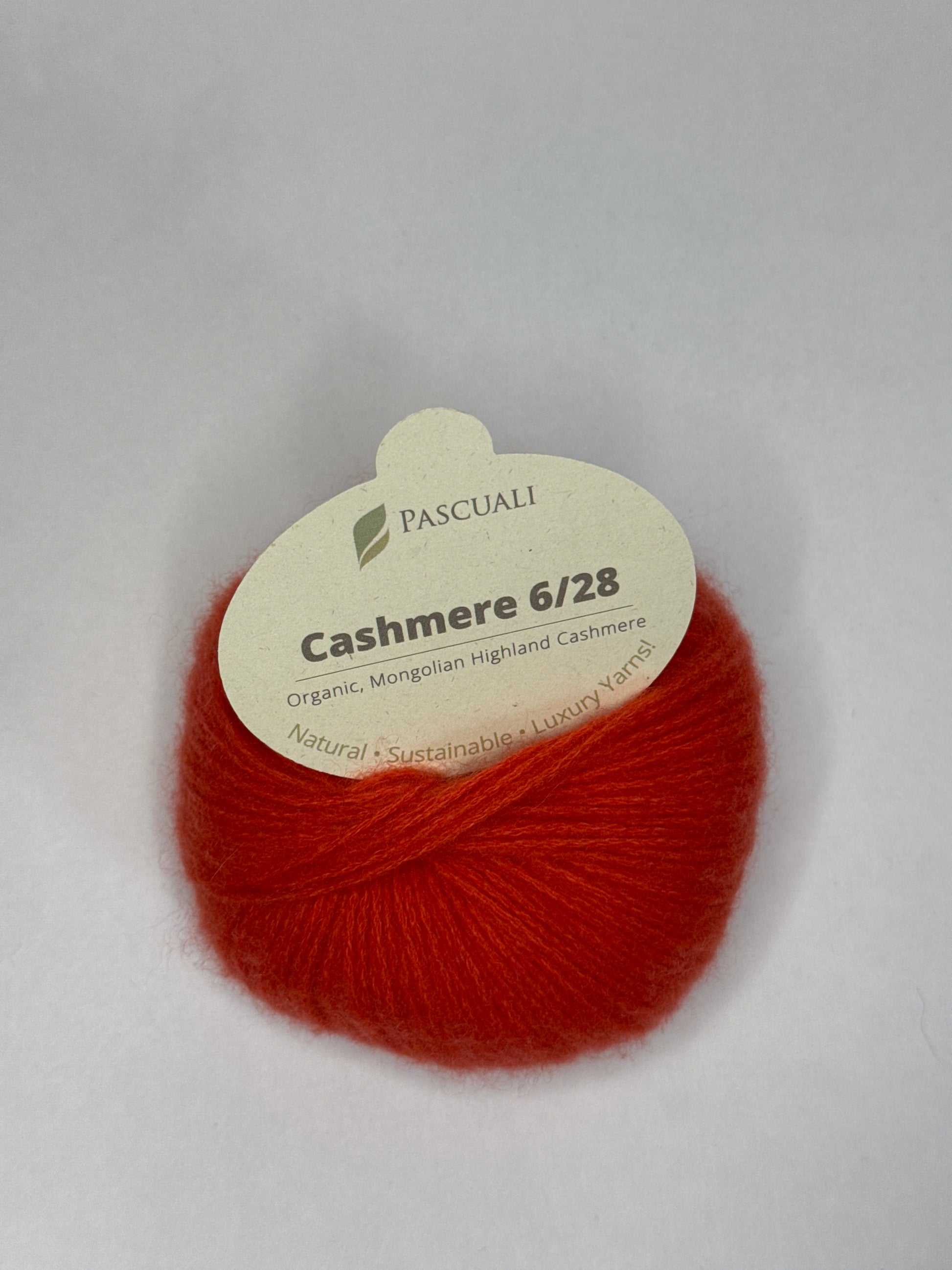 Cashmere 6/28