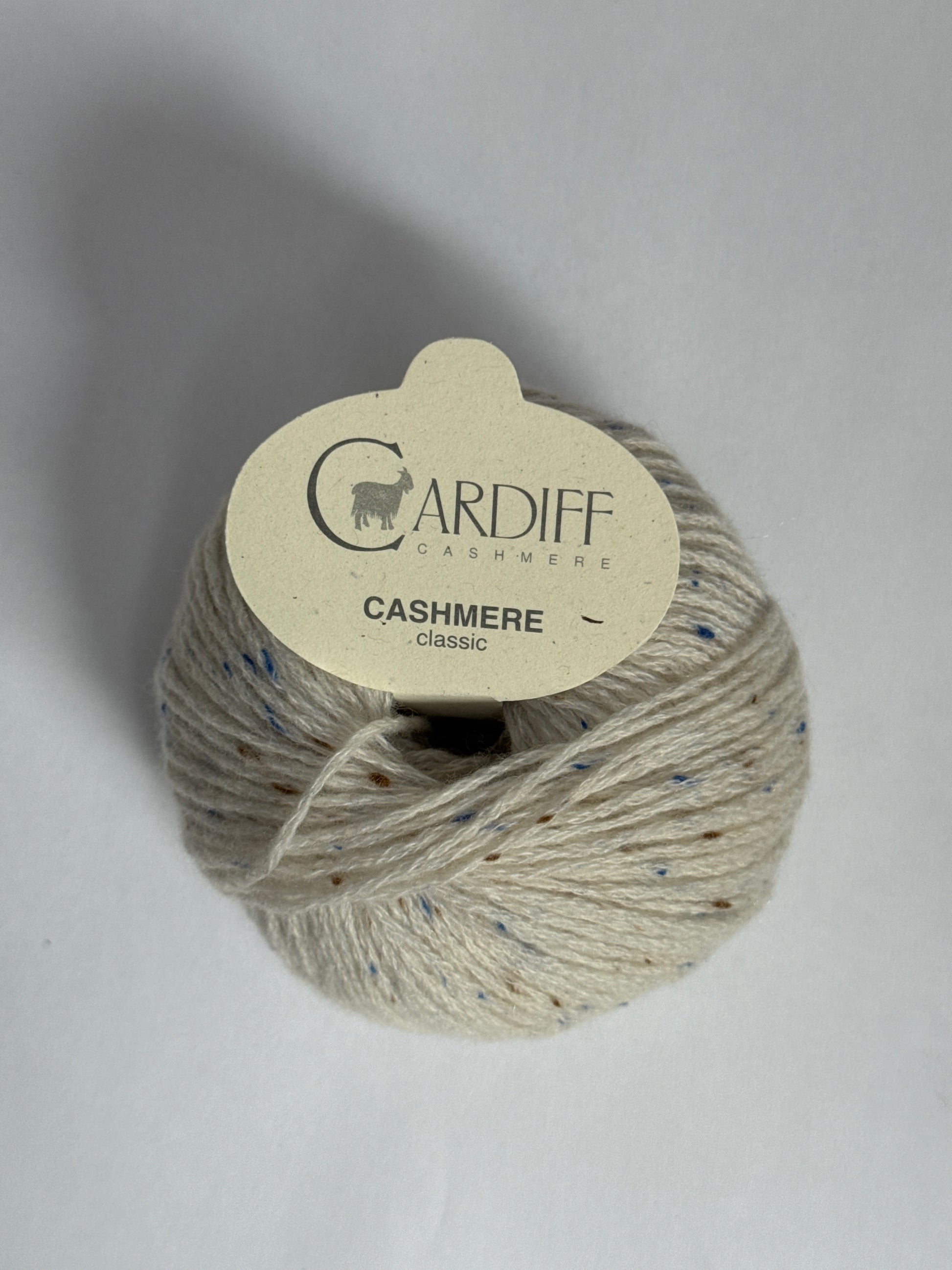 Cardiff Classic