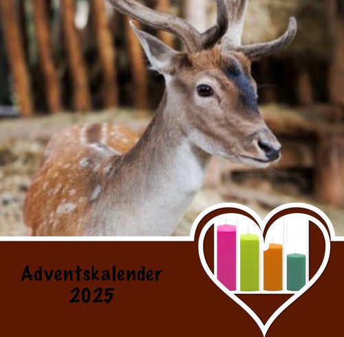 Adventskalender
